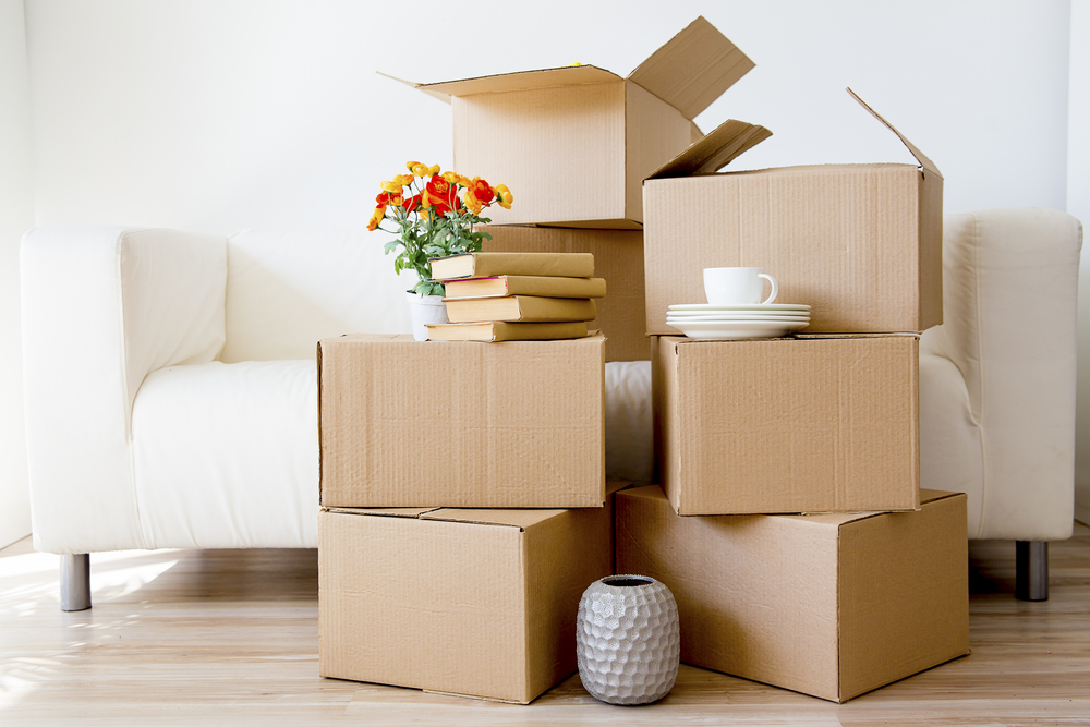 shutterstock_765849310.jpg